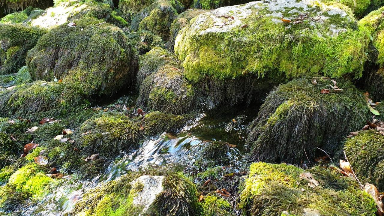 Stone Room-Kamena Soba Sipovo Exteriér fotografie